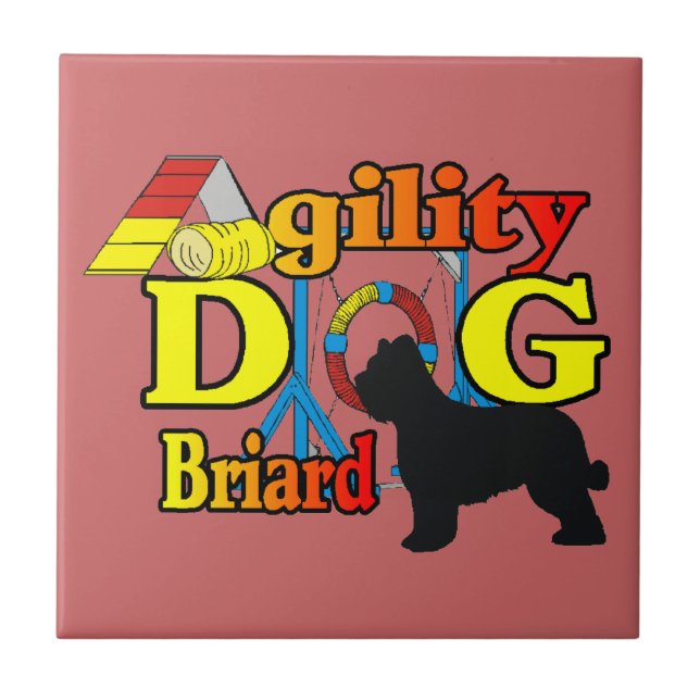 Agilidade Briard (Frente)