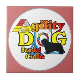 agilidade collie barbuda