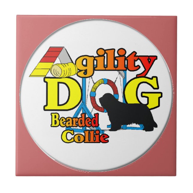 agilidade collie barbuda (Frente)