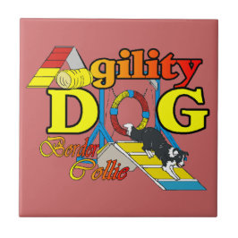 Agilidade de Borda Collie