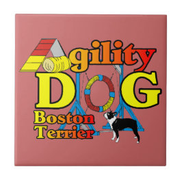 Agilidade de Boston Terrier