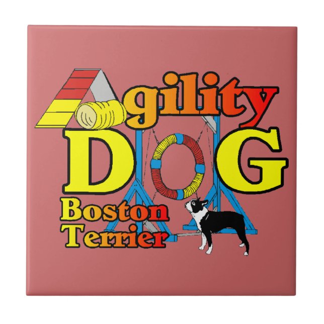 Agilidade de Boston Terrier (Frente)