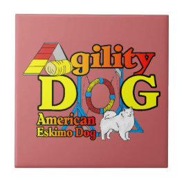 Agilidade de Cão Eskimo Americano