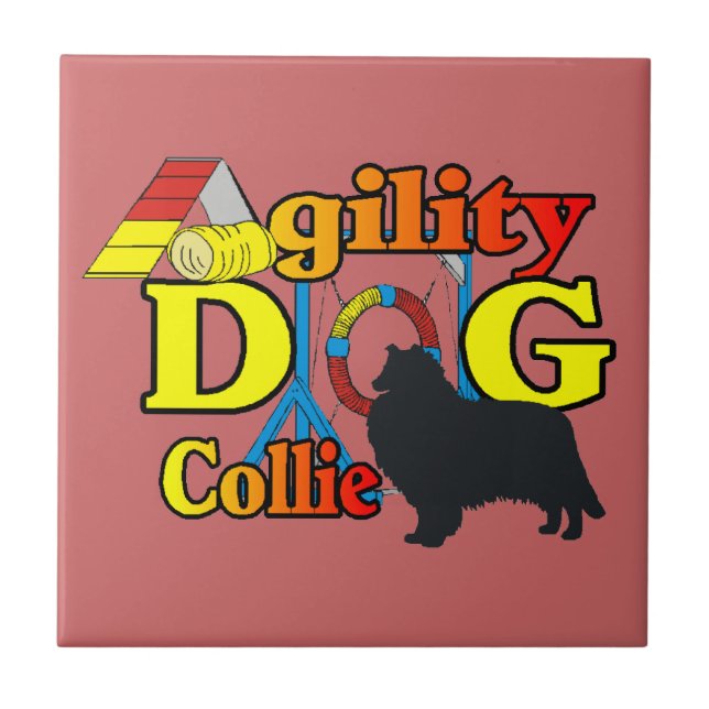 Agilidade de Collie Rough (Frente)