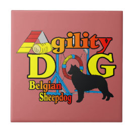 Agilidade de Sheepdog Belga