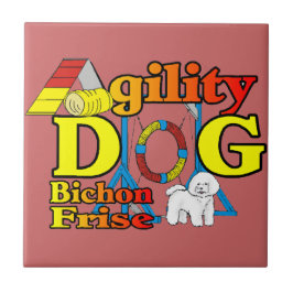 Agilidade do Bichon Frise