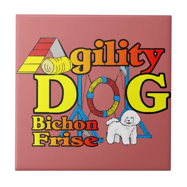 Agilidade do Bichon Frise (Frente)
