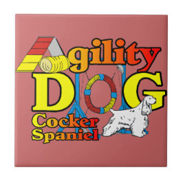 Agilidade do coker Spaniel