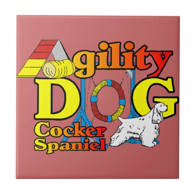Agilidade do coker Spaniel (Frente)