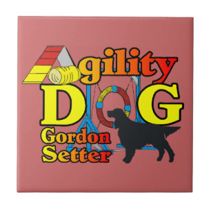Agilidade do Gordon Setter