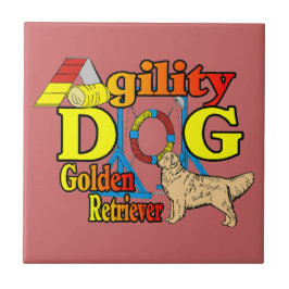 Agilidade do ouro Retriever