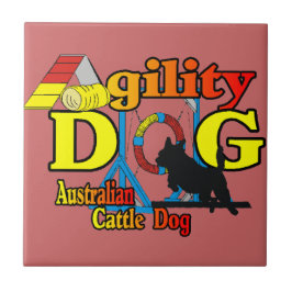 Agilidade dos Cães de Bovinos Australianos