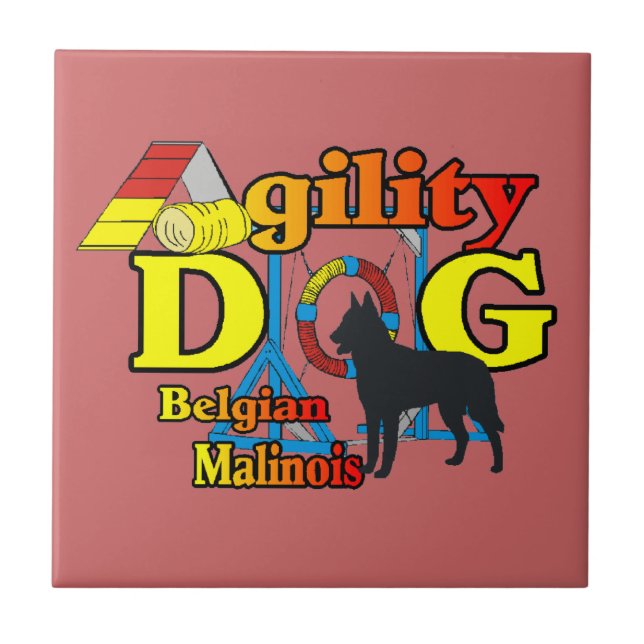Agilidade Malinois Belga (Frente)