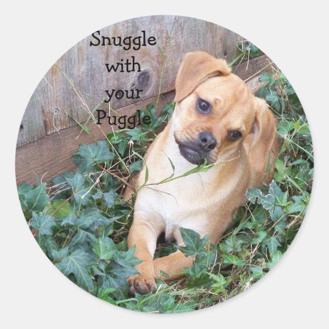 Agitar com o adesivo de Puggle (Frente)