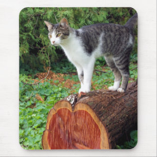 Agora Você Tem Minha Atenção - Mousepad de Gatinho