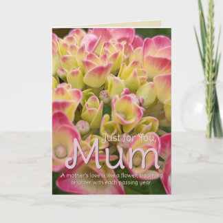 Agradecimento Apenas para você, Cartão de flor de Hydrangea Mãe
