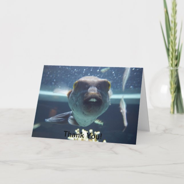 Agradecimento Aquele Cartão De Peixe De Bucktooth (Frente)