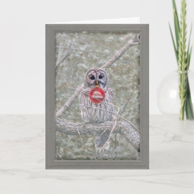 Agradecimento Barred Owl - Cartão de Saudação de Natal (Frente)