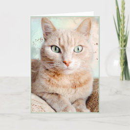 Agradecimento Belo Cartão de Saudação de Gato de Tabby Strike