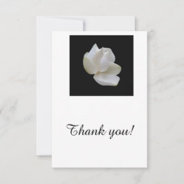 Agradecimento Cartão de agradecimento, em branco, com flor de Ma