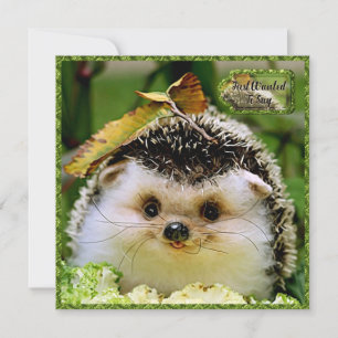 Agradecimento Cartão de Amizade Hedgehog
