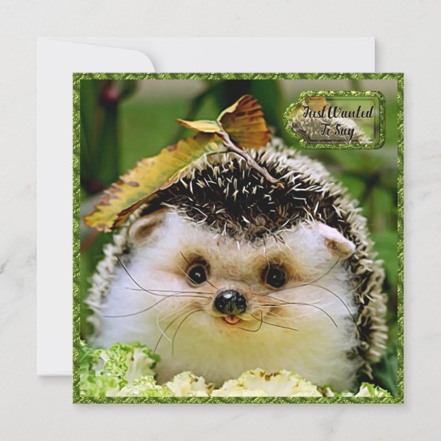Agradecimento Cartão de Amizade Hedgehog (Frente)