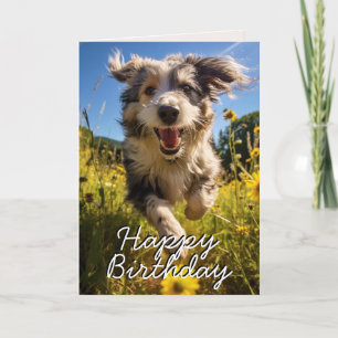 Agradecimento Cartão de Aniversário Catalão Personalizado