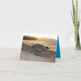Agradecimento Cartão de Aniversário da Tartaruga Verde Sunset