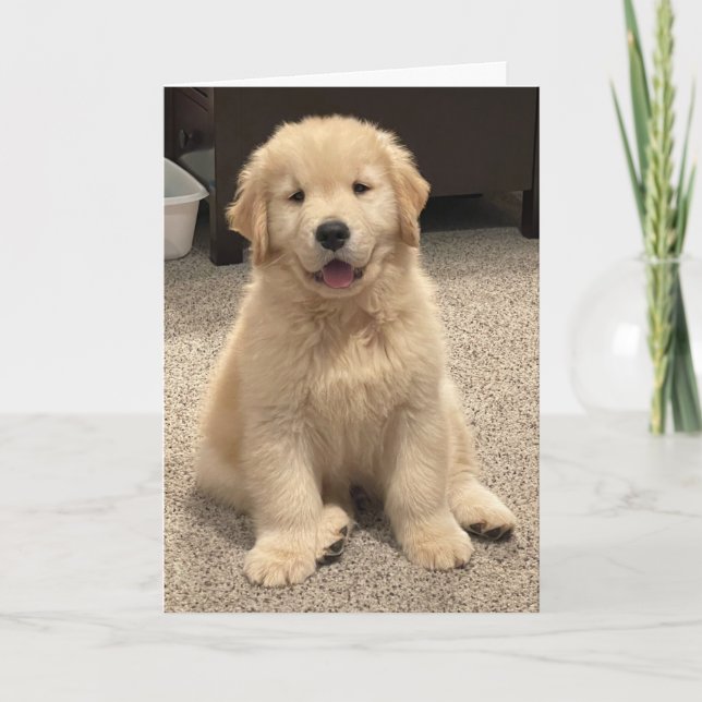 Agradecimento Cartão de Aniversário de Archie (Frente)