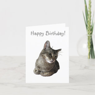 Agradecimento Cartão de Aniversário de Gato Abissino