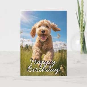 Agradecimento Cartão de Aniversário de Groodle Personalizado