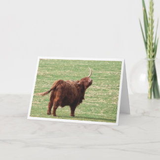 Agradecimento Cartão de aniversário de vaca das Terras Altas