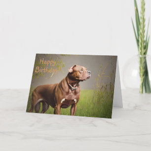 Agradecimento Cartão de Aniversário DignifiedBrown Pitbull