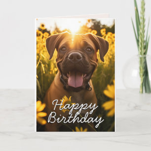 Agradecimento Cartão de Aniversário do Bull Mastiff Personalizad