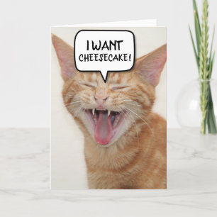 AGRADECIMENTO CARTÃO DE ANIVERSÁRIO DO GINGER CAT QUE QUERO CHEE