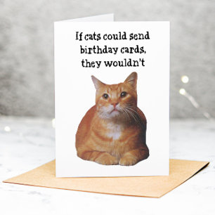 Agradecimento Cartão de aniversário engraçado para gato de estim