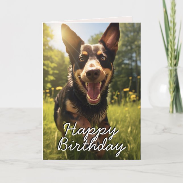 Agradecimento Cartão de aniversário feliz australiano Kelpie (Frente)