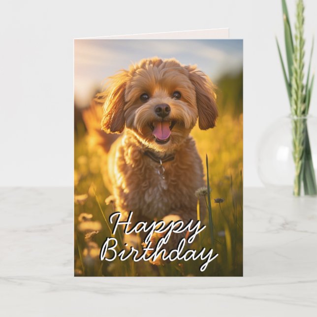 Agradecimento Cartão de Aniversário Feliz Cavoodle/Cavapoo Perso (Frente)