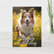 Cartão de Aniversário Feliz da Collie Personalizad