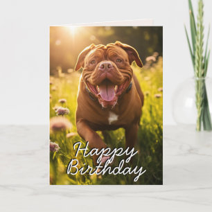 Agradecimento Cartão de Aniversário Feliz de Dogue de Bordeaux