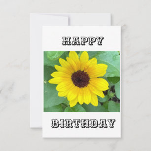 Agradecimento Cartão de Aniversário Feliz de Sunflower