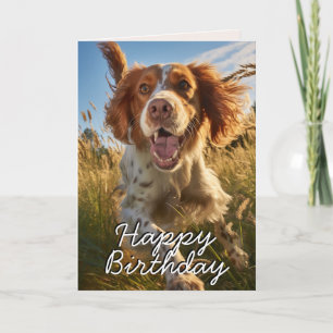 Agradecimento Cartão de Aniversário Feliz do Gordon Setter Perso