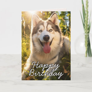 Agradecimento Cartão de Aniversário Feliz Malamute para o alfabe