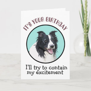 Agradecimento Cartão De Aniversário Personalizado Da Sua Collie 