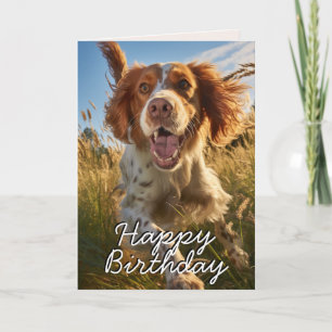 Agradecimento Cartão de Aniversário Personalizado do Setter Gord