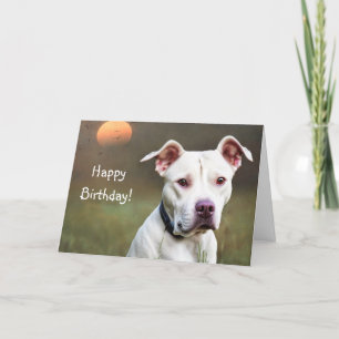 Agradecimento Cartão de Aniversário White Pitbull