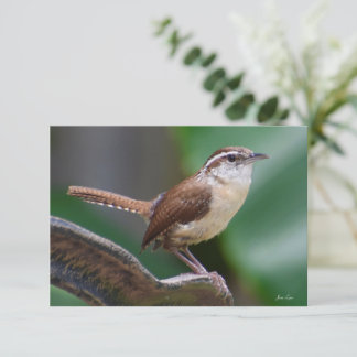 Agradecimento Cartão de anotação natural para aves