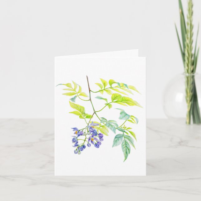 Agradecimento Cartão de arte Botânica Solanum Potato Creeper (Frente)
