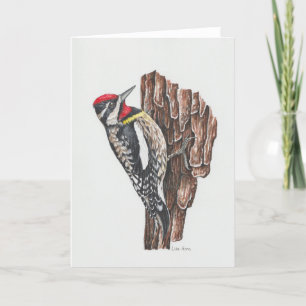 Agradecimento Cartão de Arte Sapsucker de barriga amarela