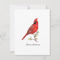 Cartão de bilhete simples de aves cardineiras